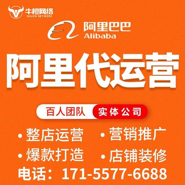 沧州电商代运营