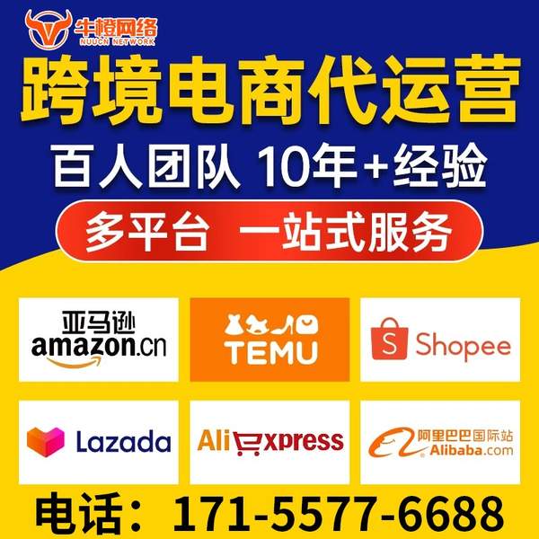 沧州电商代运营