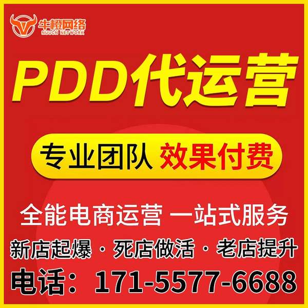 沧州电商代运营