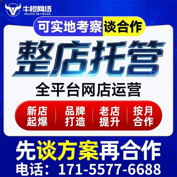 沧州电商代运营