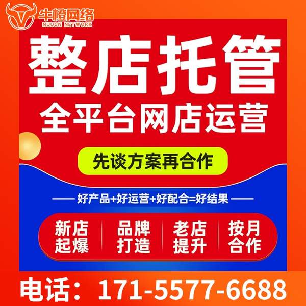 沧州电商代运营