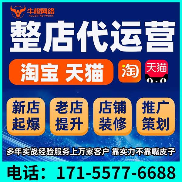 沧州电商代运营