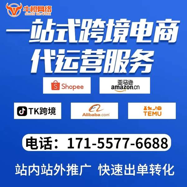 沧州电商代运营