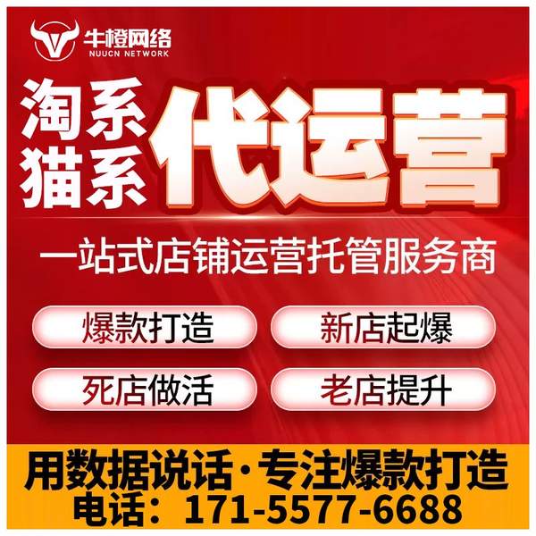 沧州电商代运营
